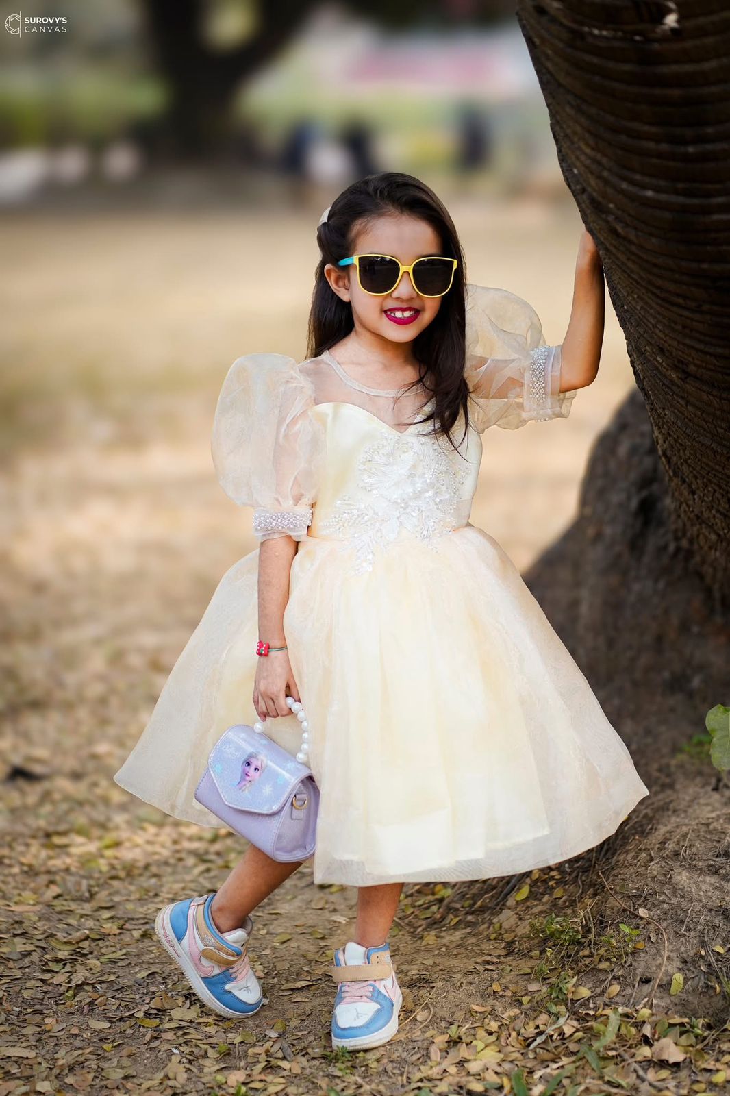 Organza golden charm barbie frok